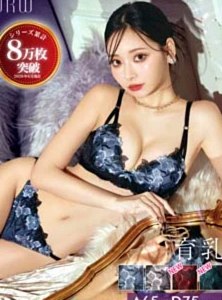 ダスティブルームエンブロイダリー美胸脇高ブラジャー&バック透けフルバックショーツ