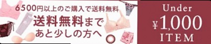 下着・ランジェリー・ブラジャー通販のMeld Meshcore(メルドメッシュコア)