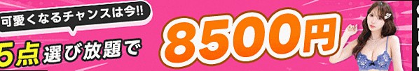 5点8500円