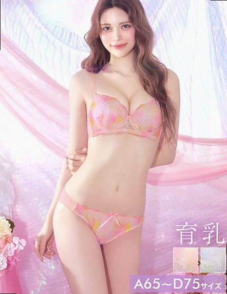 ドリーミーグラデーションレース美胸脇高ブラジャー＆フルバックショーツ［大人気］